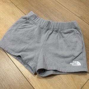 The North Face Light Gray Fleece Shorts